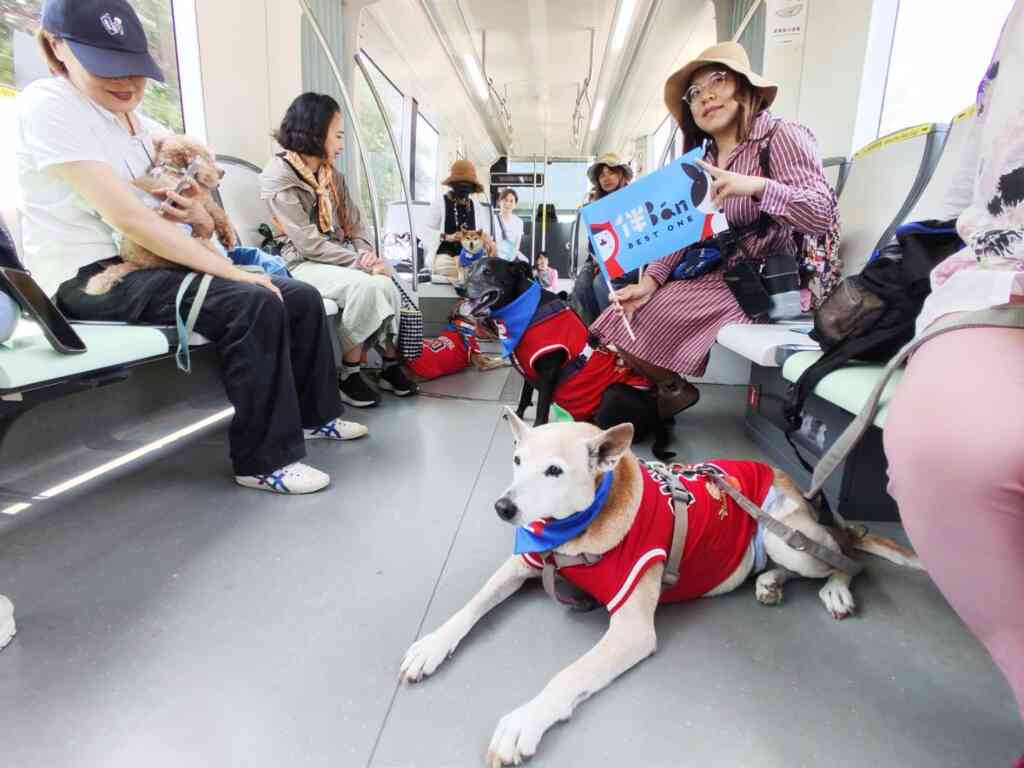 ▲ 「好伴車車~狗狗藝文輕旅行」 除了鼓勵市民搭乘綠色運具外,透過「好伴bàn車車」藝文遊程專車,促進高雄觀光與寵物相關產業。(高雄市政府提供)
