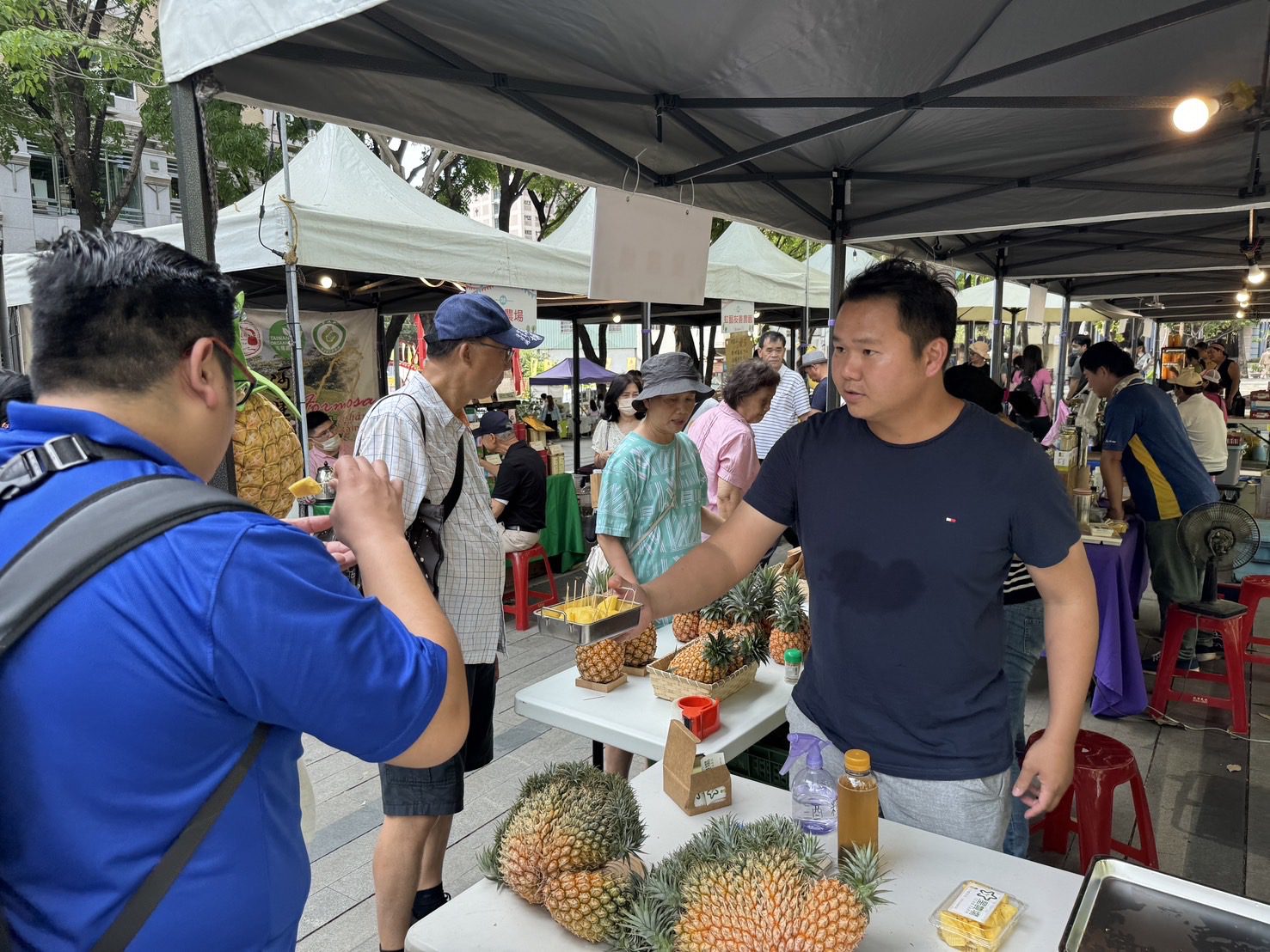 台中、嘉義攜手推廣優質農特產！ 「嘉義優鮮-春日鳳梨派對」草悟道登場