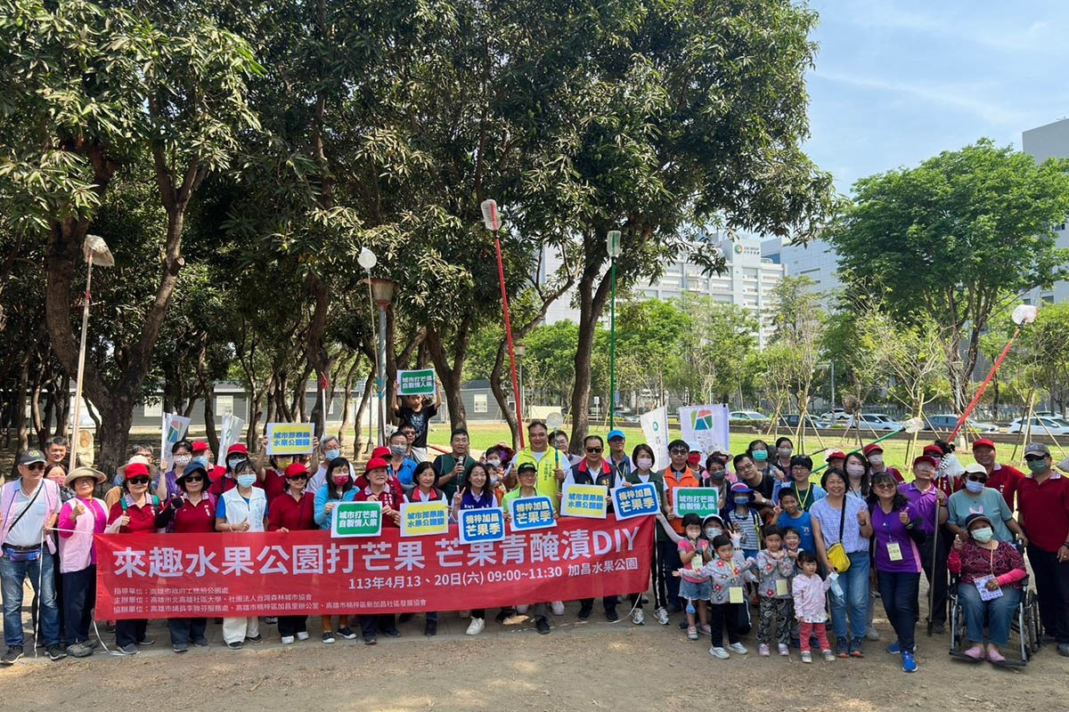高雄加昌水果公園舉辦打芒果季 城市裡也能體驗的採果樂
