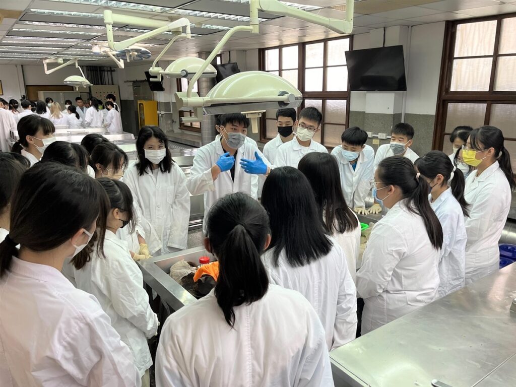 中山醫大解剖營提供大體實習室內的學習環境,讓高中生直接面對已經解剖完成的人體。(圖/中山醫大提供)