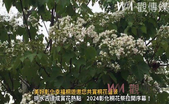 （有影片）／2024桐花祭盛大開幕！美好彰化幸福桐遊邀您共賞桐花盛景