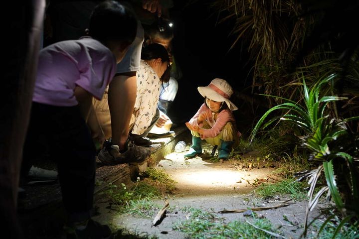 夜探三仙台 漫遊星空下