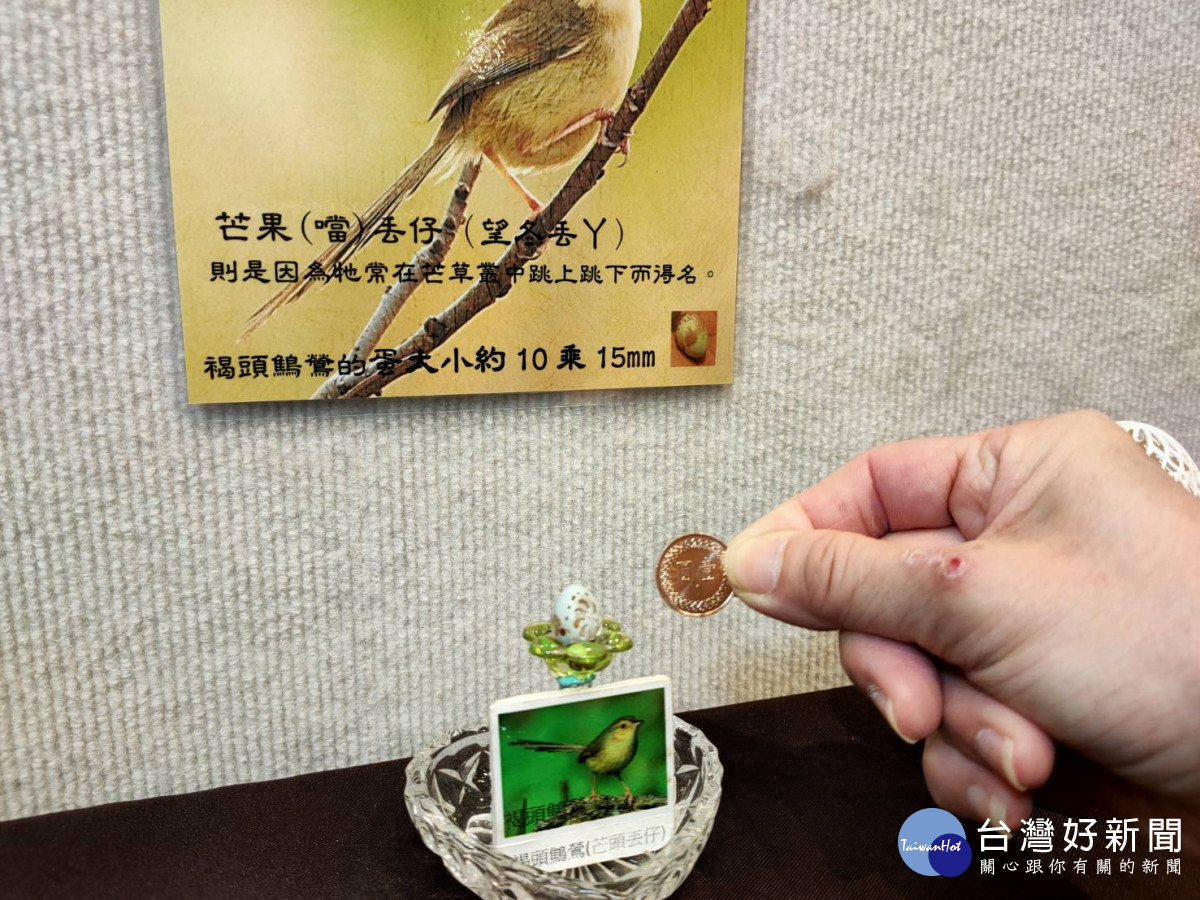 如履薄冰奇幻的廖啟鎮蛋雕藝術。圖/記者鄧富珍攝
