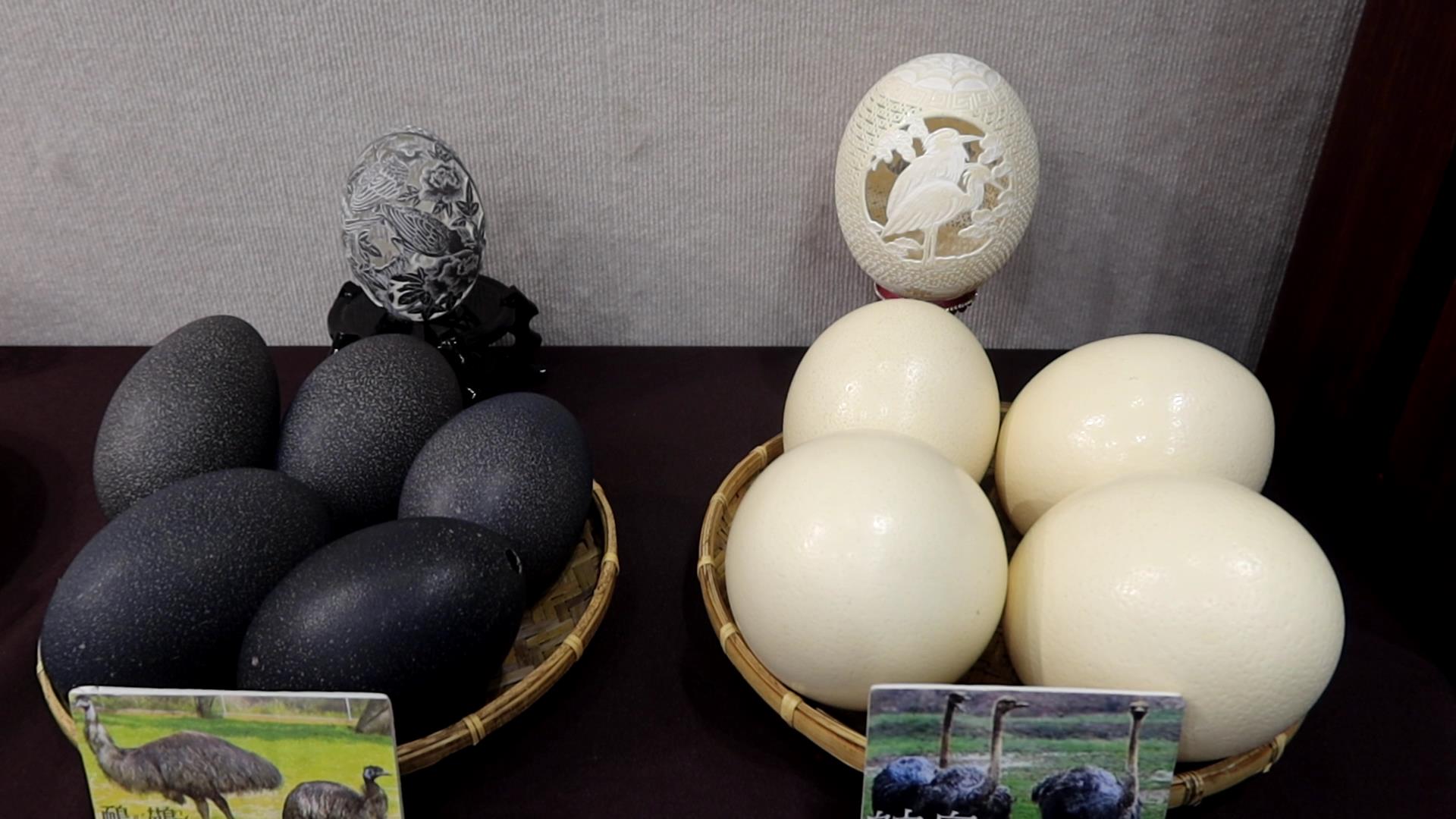 ▲獲獎無數的知名蛋雕大師廖啟鎮在彰化藝術館展出驚奇之美蛋雕展，廖啟鎮將平淡無奇的蛋殼，發揮創意融入生活，作品琳琅滿目。（記者張溎壕攝）