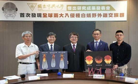 白蟻研究重大突破!興大團隊證實全球兩大入侵種白蟻 首次發現野外雜交族群