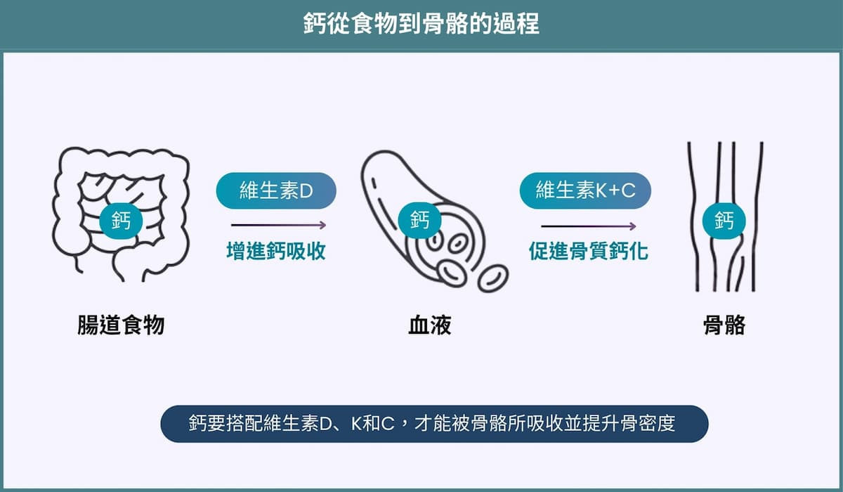參考資料來源:衛生福利部國民健康署、Brzezińska et al. 2020。