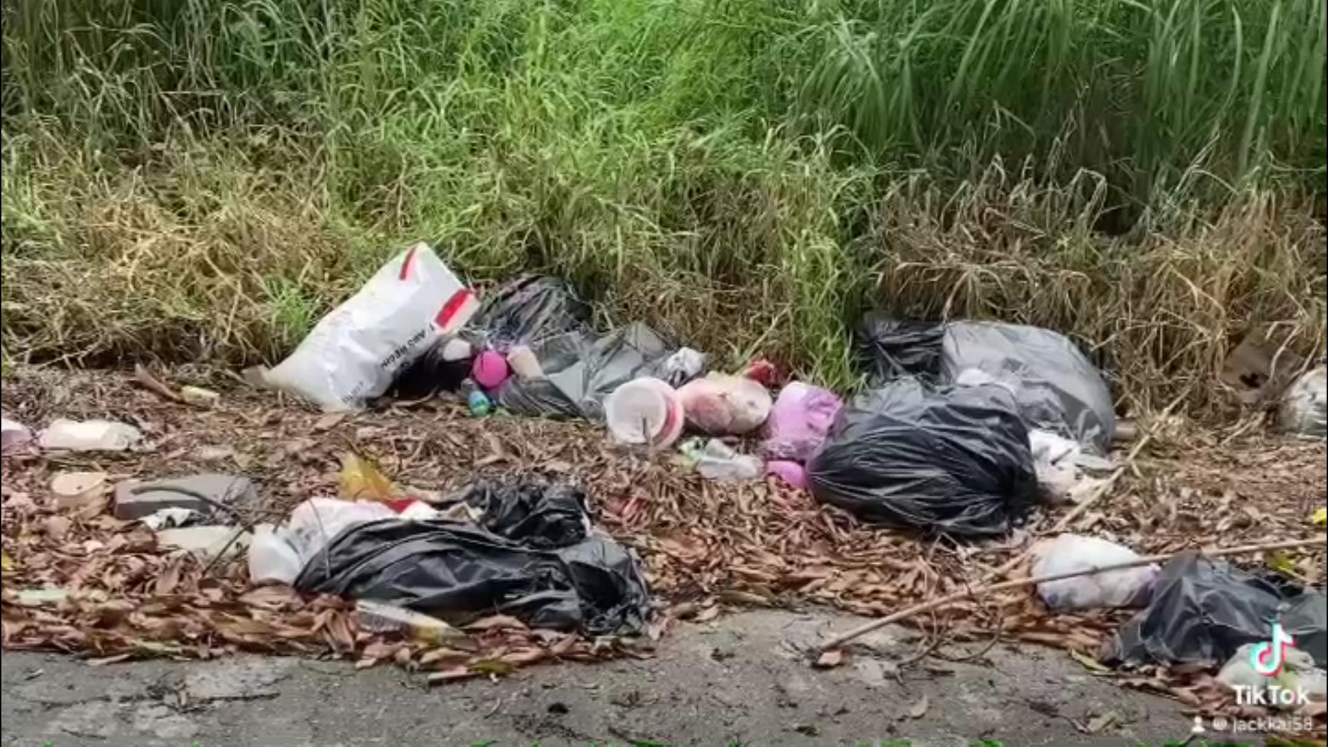 ▲北斗鎮清水溪堤岸經常被民眾「摸黑」亂丟垃圾，北斗鎮大道里里長許明圖在沿岸樹木貼上「請勿在此丟垃圾，除非家有喪事」告示奏效。（記者張溎壕攝）
