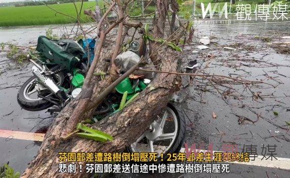(有影片)/飛來橫禍!25年資深郵差送信途中慘遭路樹壓倒送醫不治