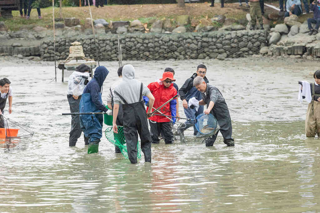 ▲興大動員近百餘人攜手清理中興湖，日本「池水抽乾好吃驚」節目也參與拍攝。（中興大學提供）