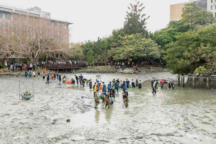 ▲興大3月7日動員近百餘人攜手清理中興湖，日本「池水抽乾好吃驚」節目也參與拍攝。（中興大學提供）