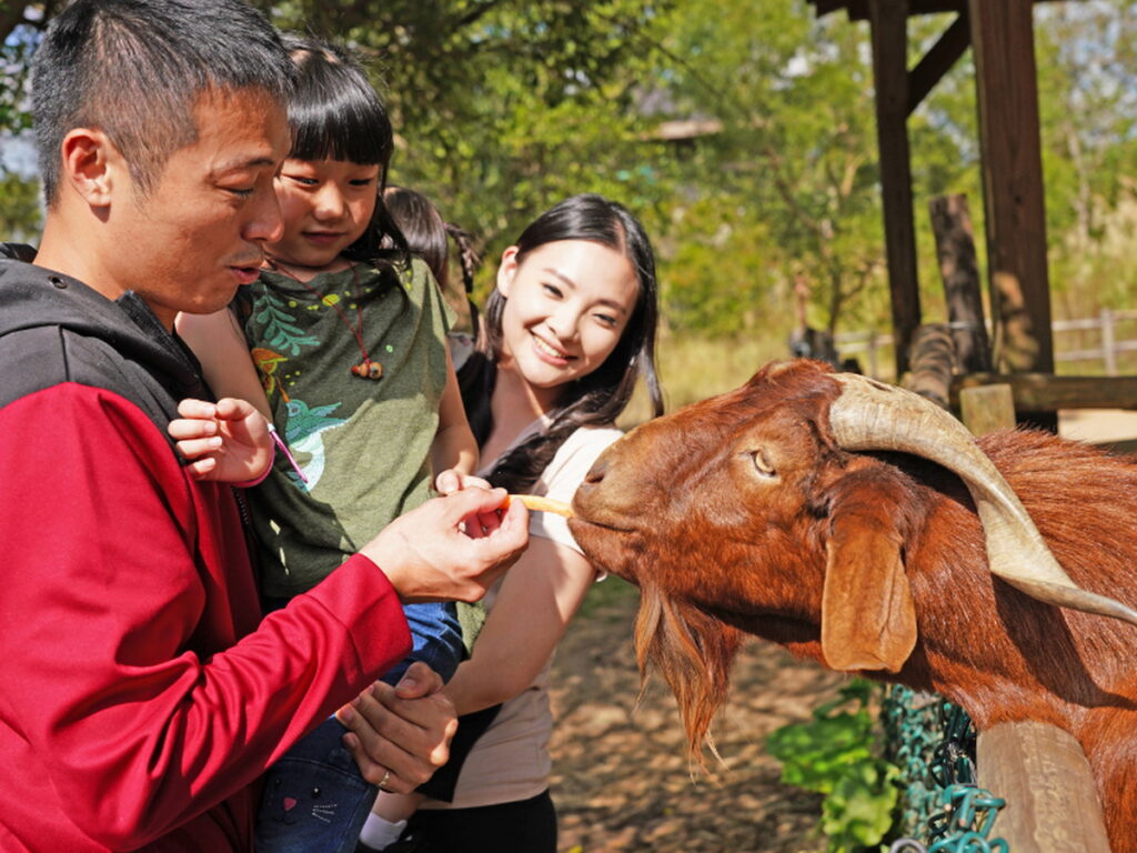 關西六福莊邀請遊客以親近動物建立愛護生態之心,首推全齡層皆友善的「草原歷險」