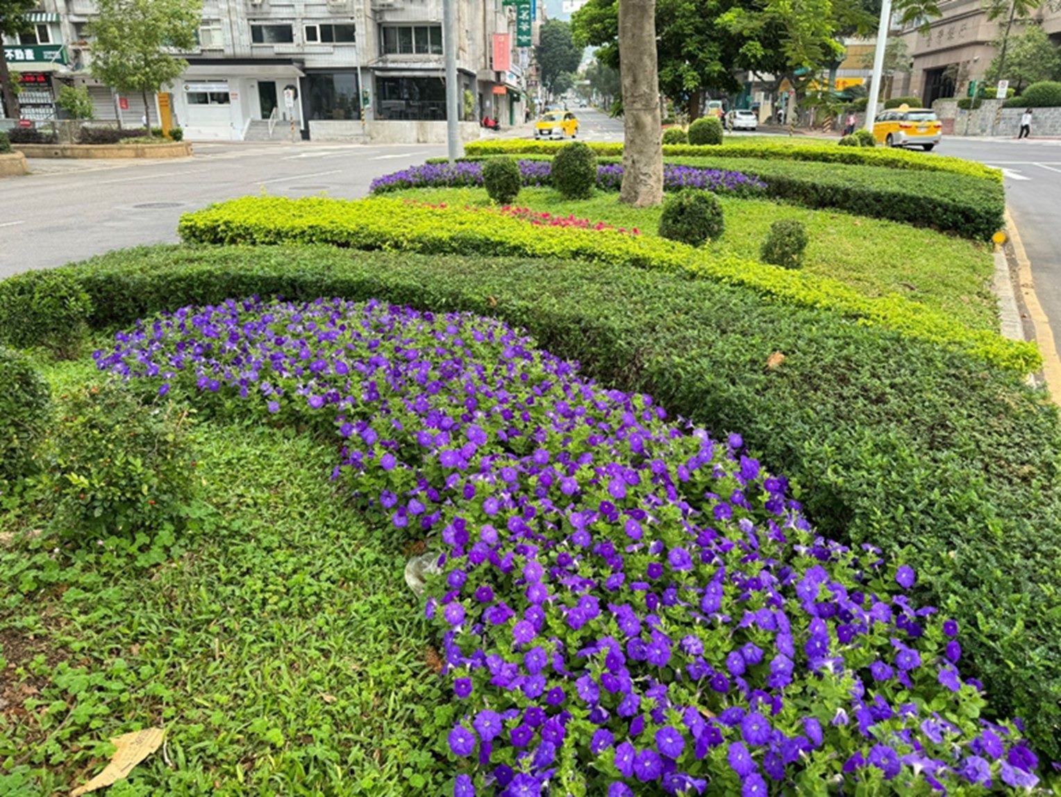 花現台北　街道綠地各有各的美