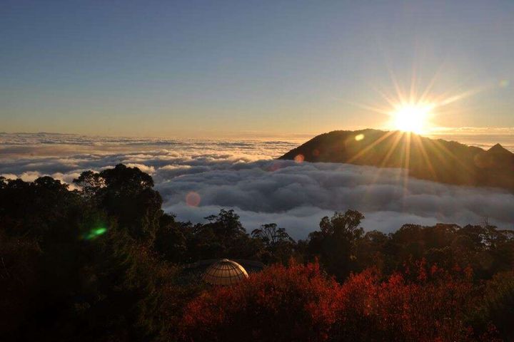 大雪山國家森林遊樂區。 圖:台中市政府觀光旅遊局/提供
