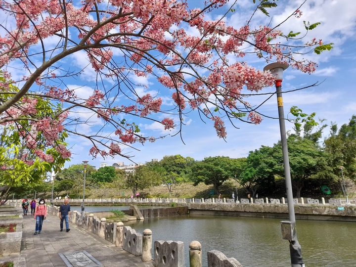 《好客竹縣》賞花攻略出刊!全台海拔最高紫色繡球花 5月即將盛開