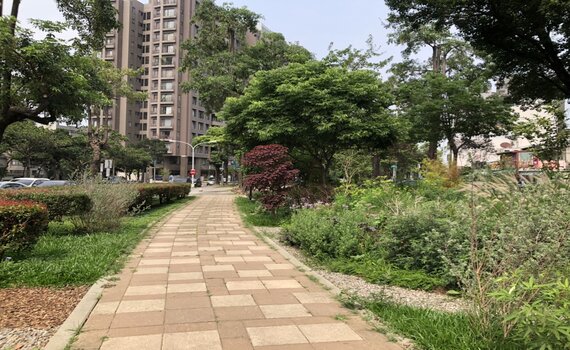 中市北區興進園道花之道完工開放 打造大型廊帶花園城市!