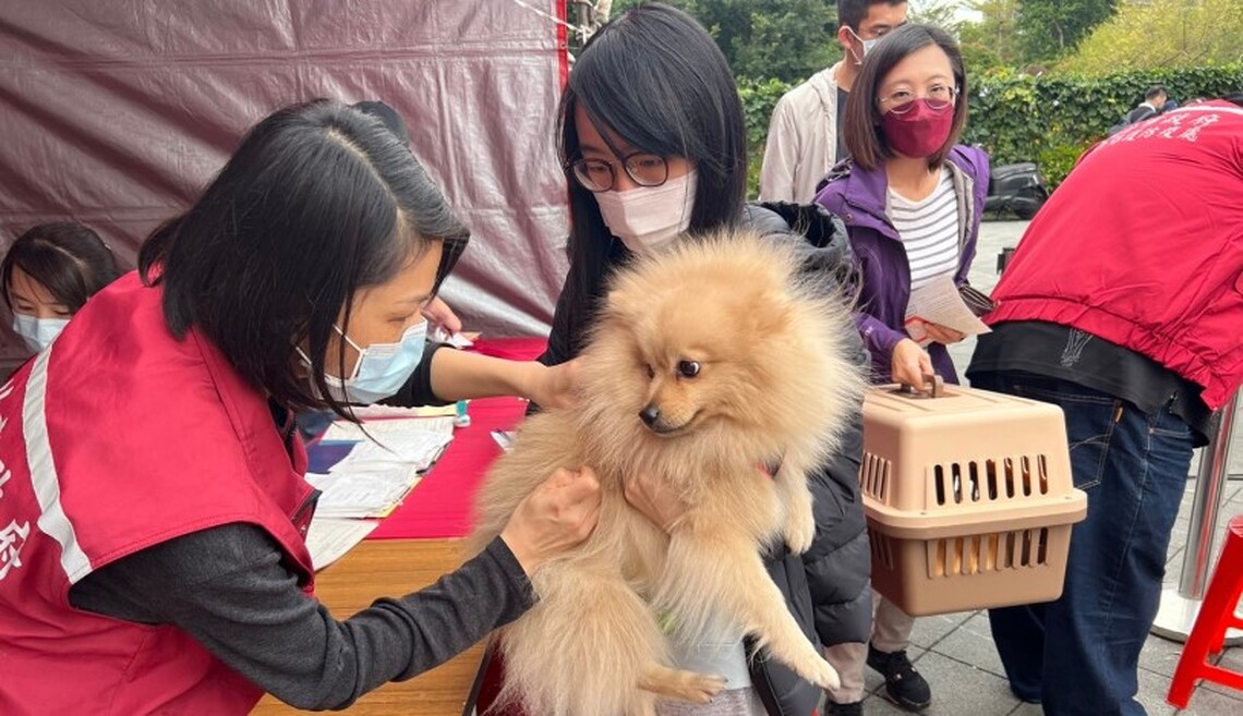 飼主未移轉寵物晶片 新北市動保處開罰11萬元