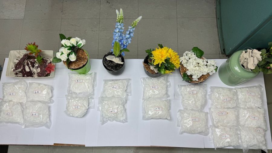 荷蘭郵寄盆栽來台有鬼　販毒集團找重症患者取貨 247