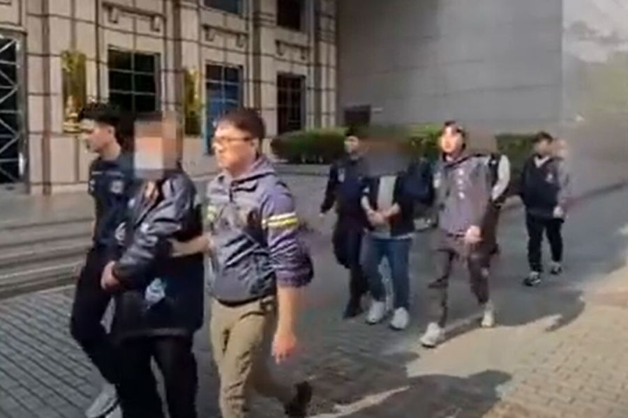 荷蘭郵寄盆栽來台有鬼　販毒集團找重症患者取貨 249