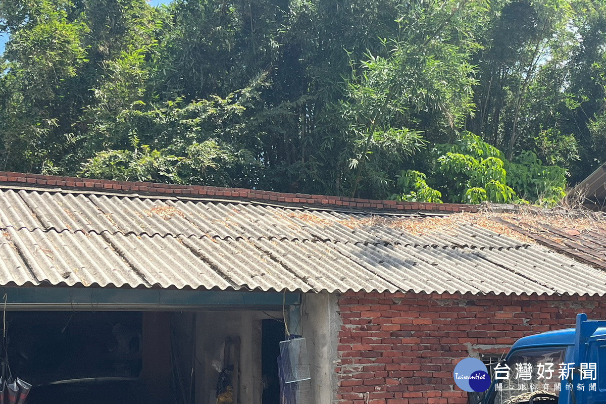 協助民眾清運拆除後石棉建材廢棄物,桃園市海管處提供免費服務。