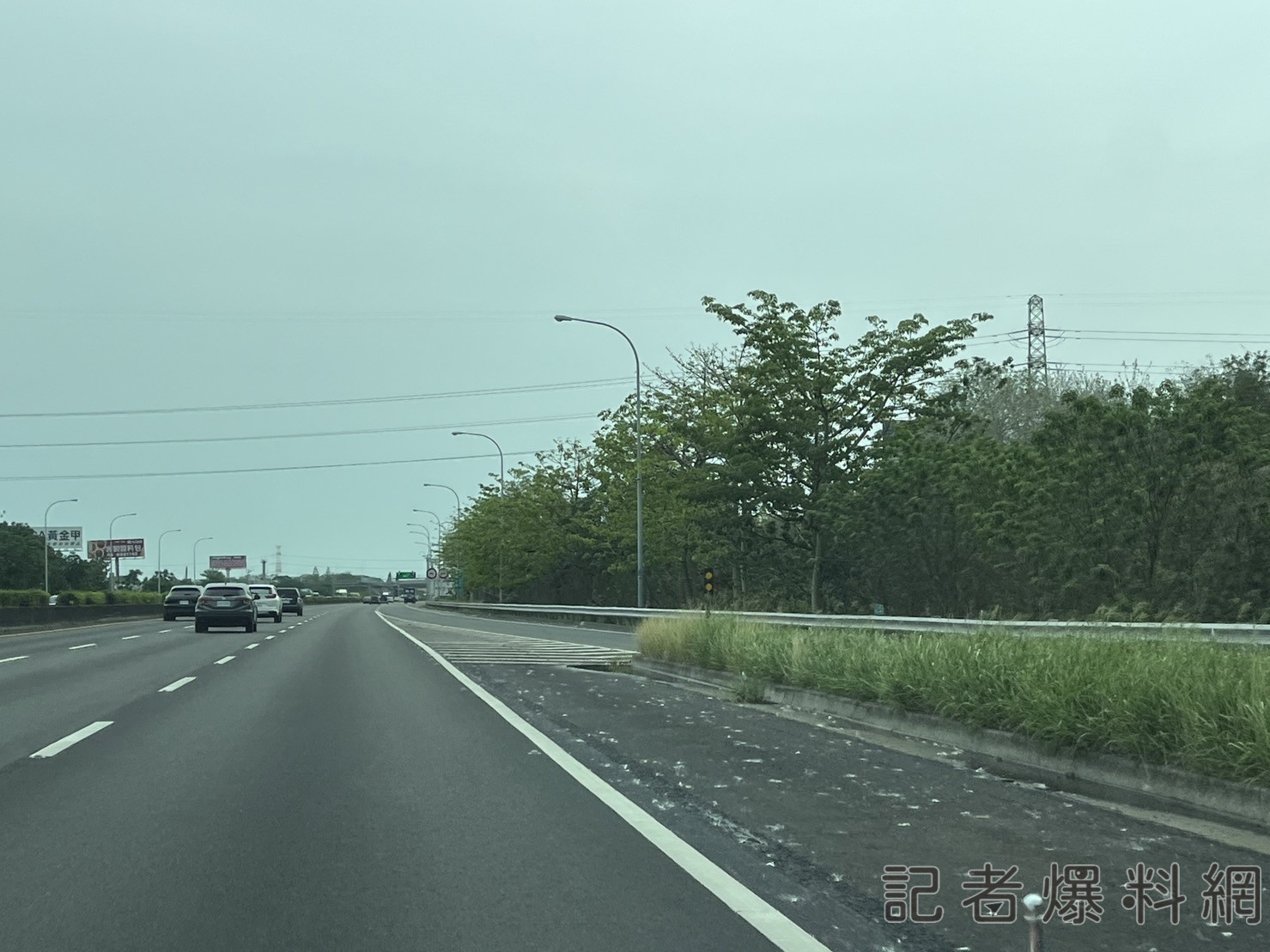國道 木棉