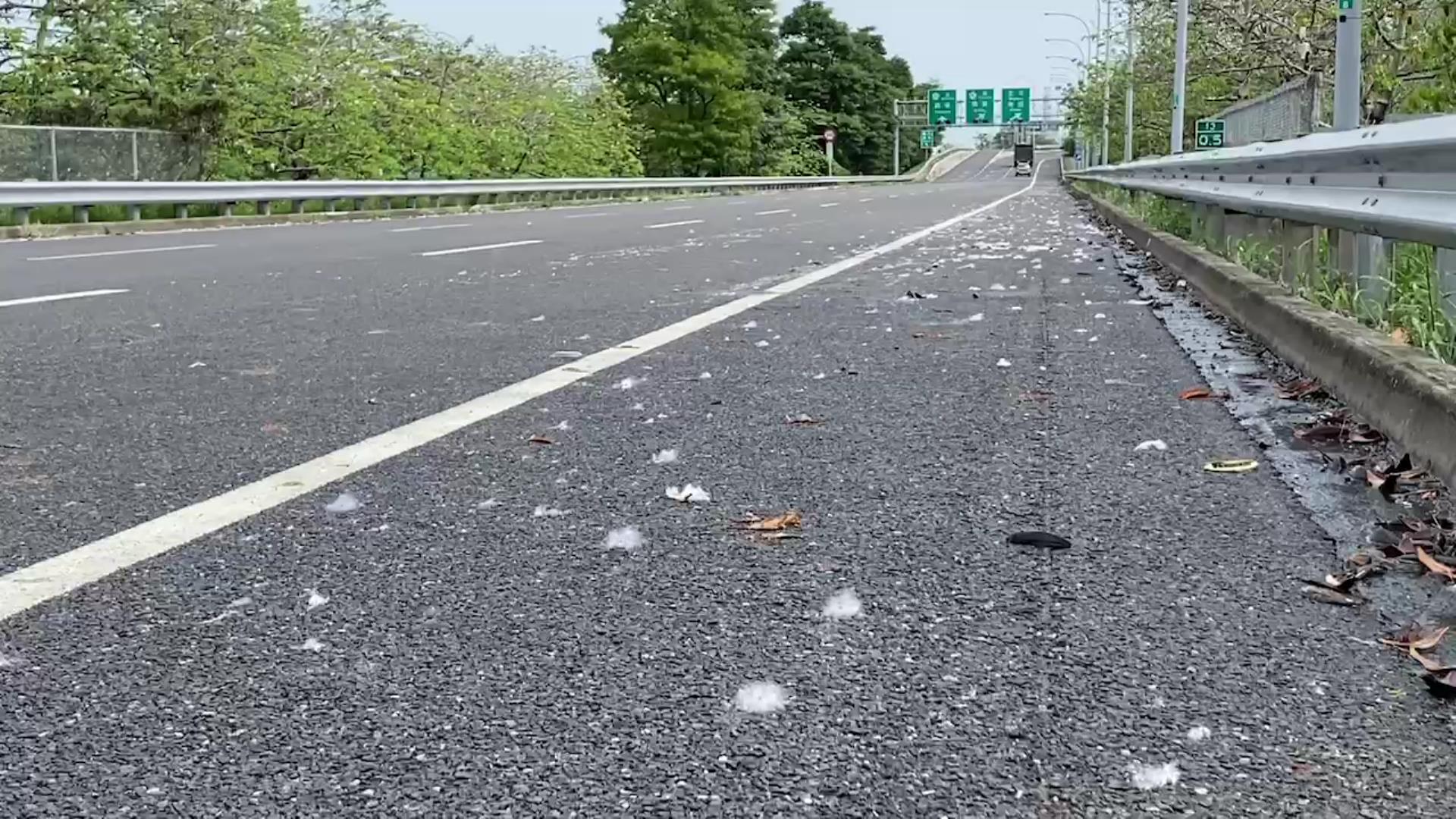 ▲國道1號埤頭路段大量木棉花的棉絮隨風飄逸，宛如下起五月雪，不少人覺得浪漫，國道警方提醒，行駛高速公路勿賞景，仍應專心開車、注意車況。（記者張溎壕攝）