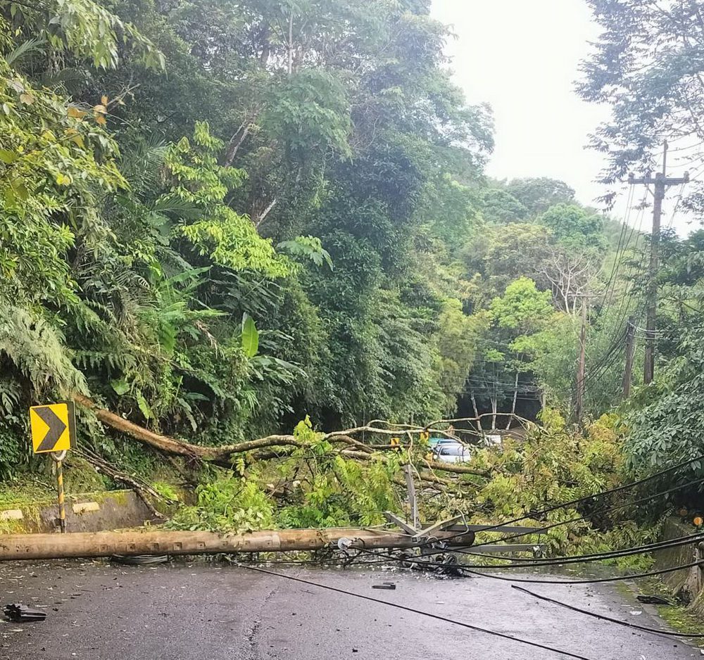桃園復興區樹木倒塌壓斷電桿4690戶停電 民眾肯定台電迅速搶修復電