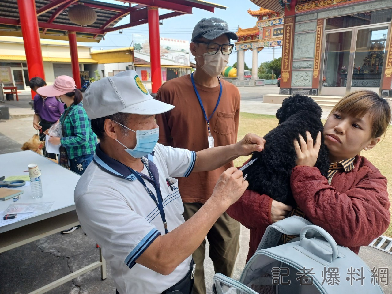 毛小孩接種疫苗開跑！ 中市5、6月開設22場狂犬疫苗