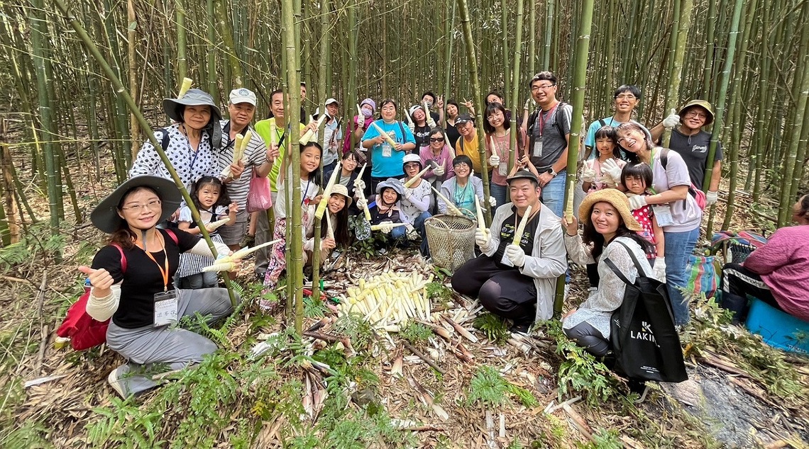 苗栗原鄉桂竹筍盛產期       走訪原鄉品嗜A-Li不虛此行