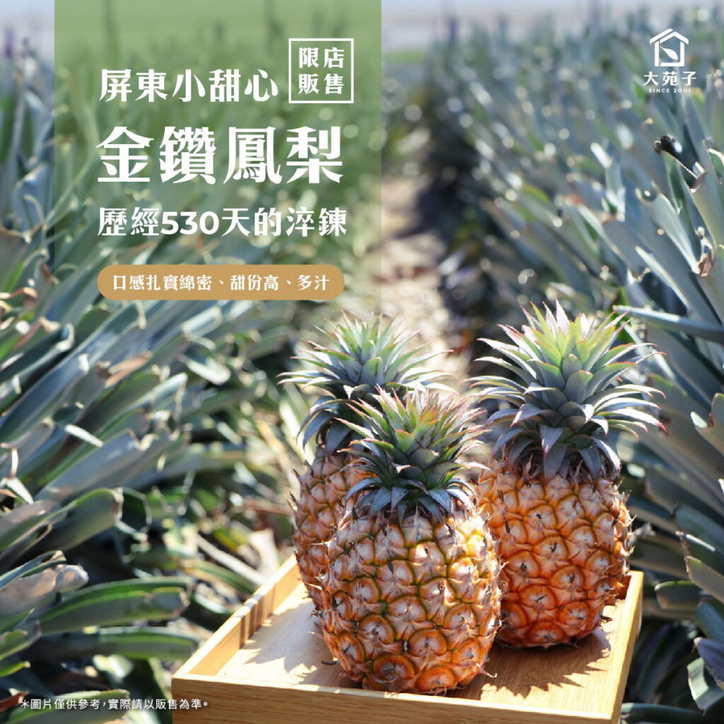 2024小甜心金鑽鳳梨