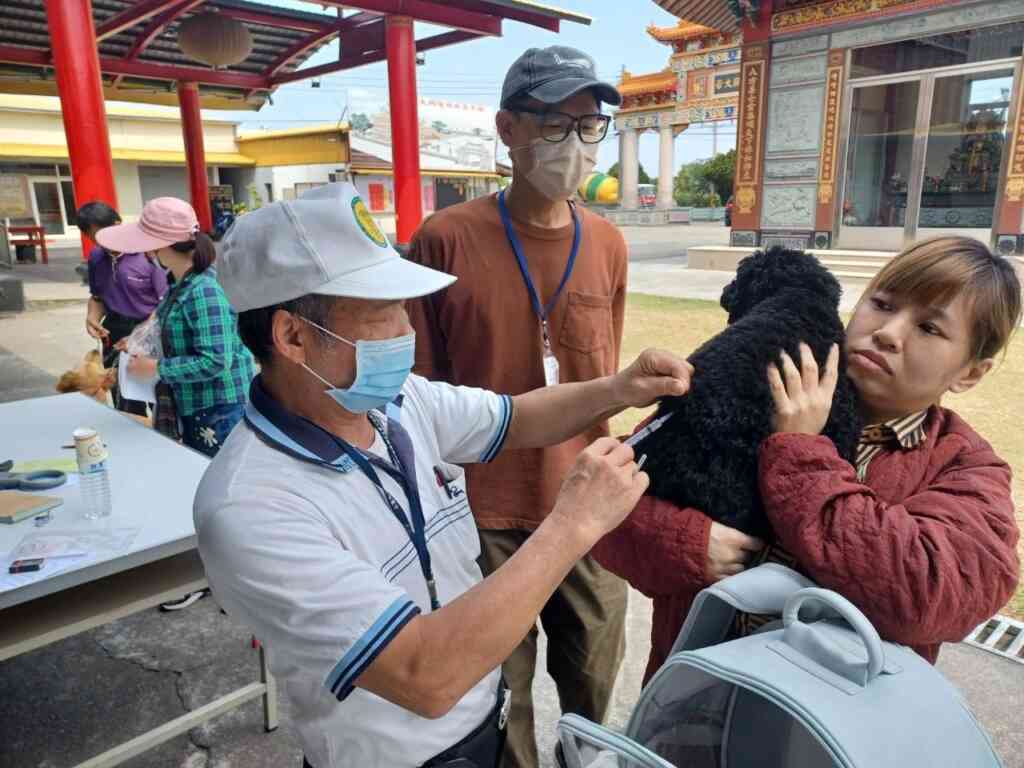 ▲民眾帶毛小孩参加巡迴注射情形。(記者廖妙茜翻攝)
