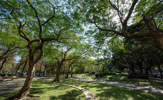 （有影片）／北市中山核心商圈 「璞園 森仰」擁萬坪綠意公園