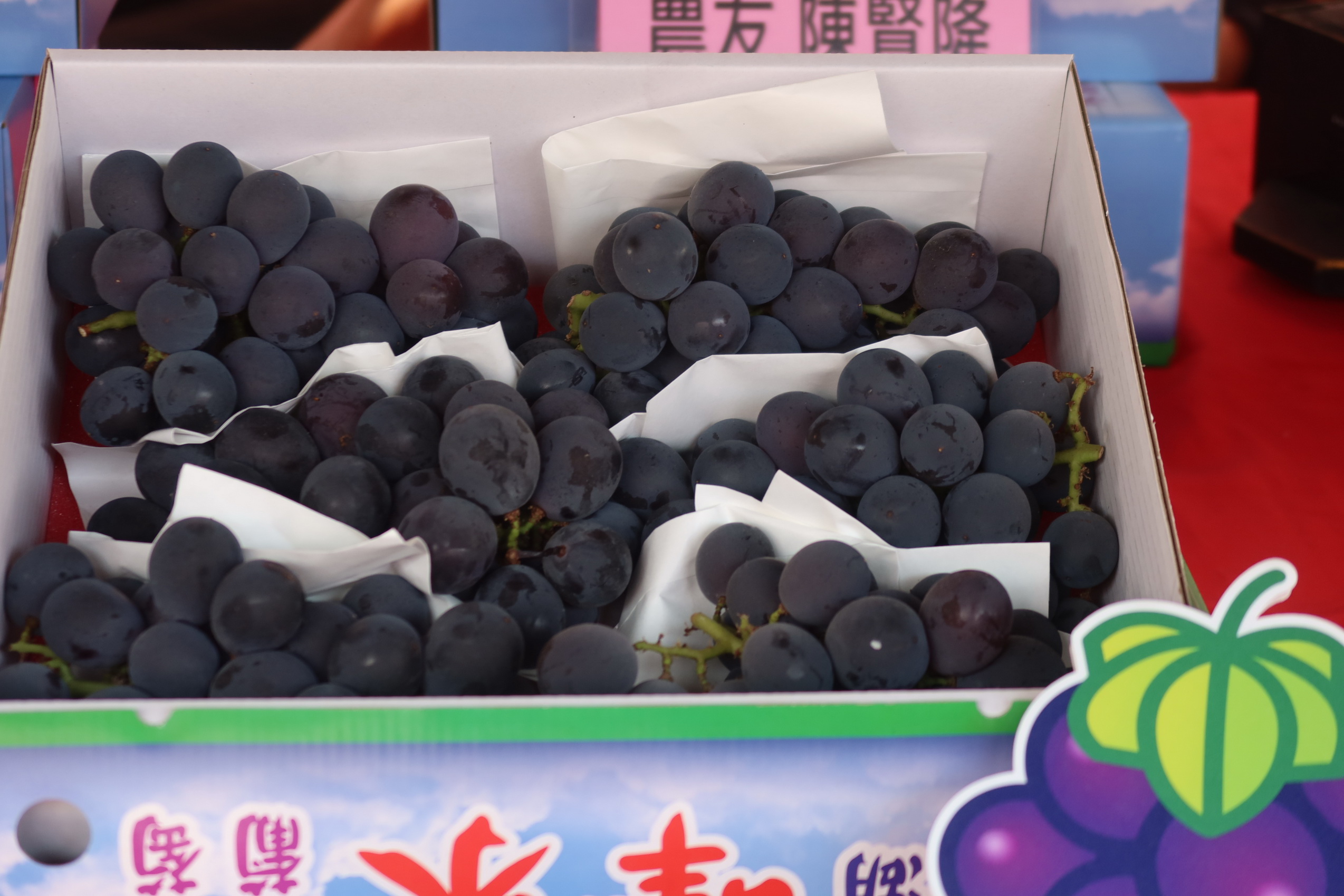 ▲溪湖鎮農會舉辦葡萄產業文化活動暨葡萄新商品發表會,活動現場有青年農民的特產展售區、家政班的義賣攤位以及親子葡萄公仔彩繪、爆米香。(記者張溎壕攝)