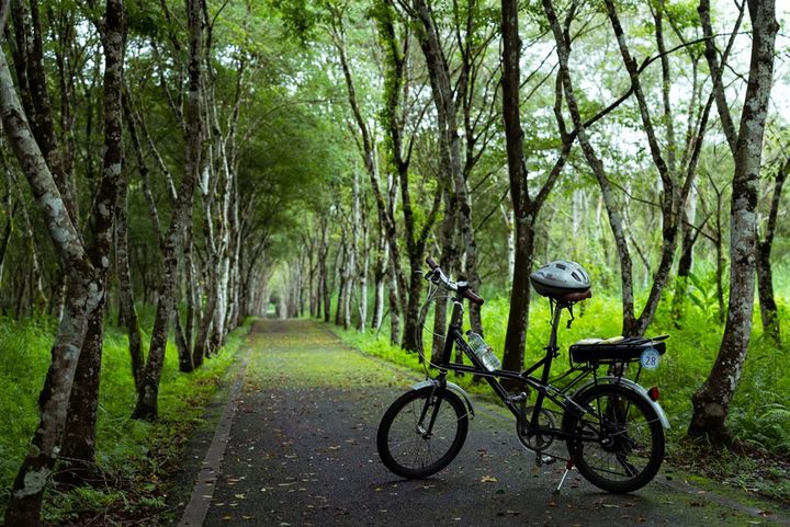 花東「徐行縱谷」自行車領騎培訓、玩騎認證、暑期優惠遊程~熱烈登場
