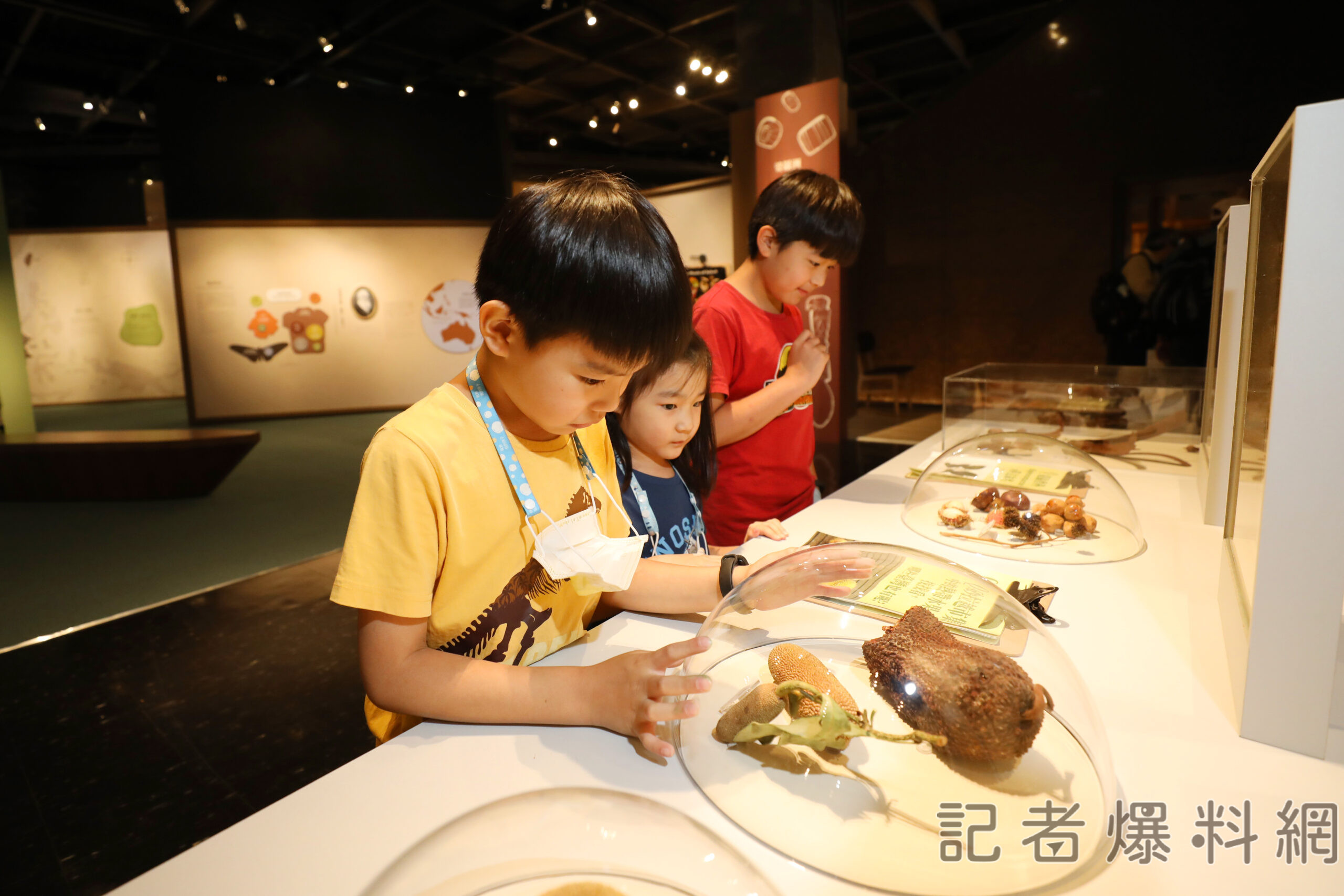 婆羅洲的挑戰與衝擊 科博館展出熱帶雨林生態之美