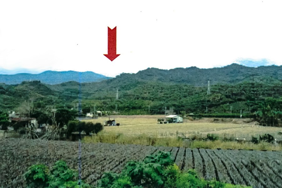 找非法移工拆板模遭罰 半甲山坡地拍賣抵償 262 找非法移工拆板模遭罰 半甲山坡地拍賣抵償 261
