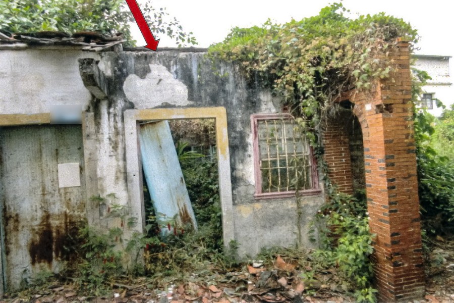 找非法移工拆板模遭罰 半甲山坡地拍賣抵償 264 找非法移工拆板模遭罰 半甲山坡地拍賣抵償 263