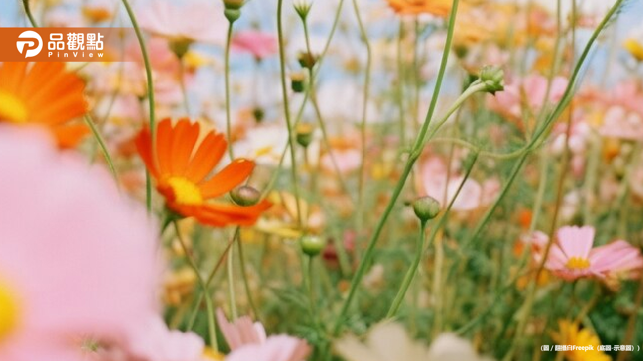 立夏節氣來臨:迎接炎熱夏季,豐富養生知識與開運小秘訣