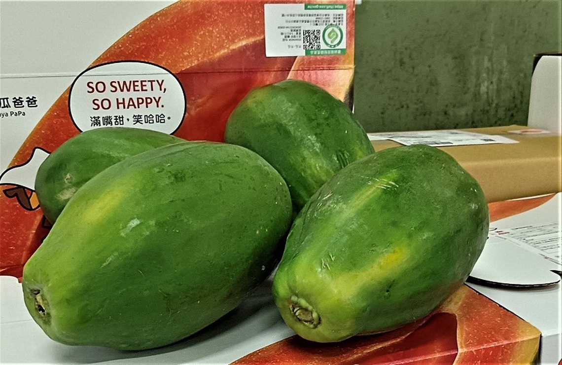 鮮豔飽滿的產銷履歷木瓜等您嘗鮮