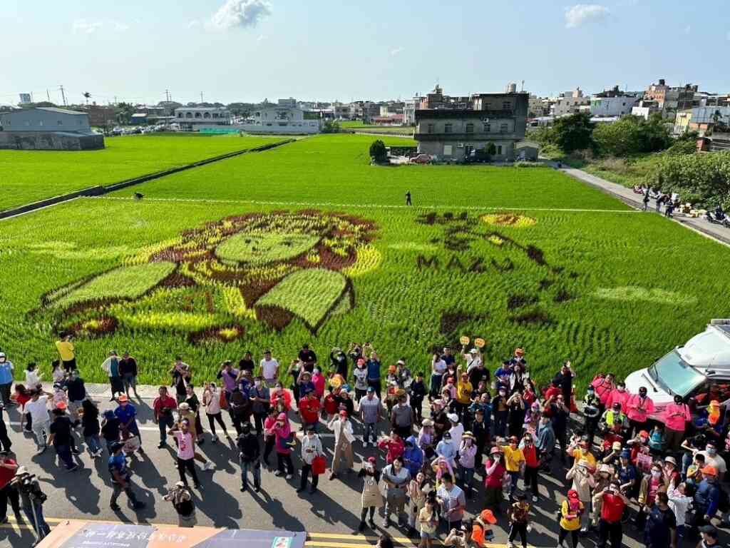 ▲苑裡鎮農會今年利用第一期稻田彩繪「媽祖文化」為主題活動,延續天后派對熱潮,5月11日將結合在地藺草工藝師『藺你驚艷服裝SHOW』,藉媽祖神力加持支持青農返鄉。(農村水保署臺中分署提供)