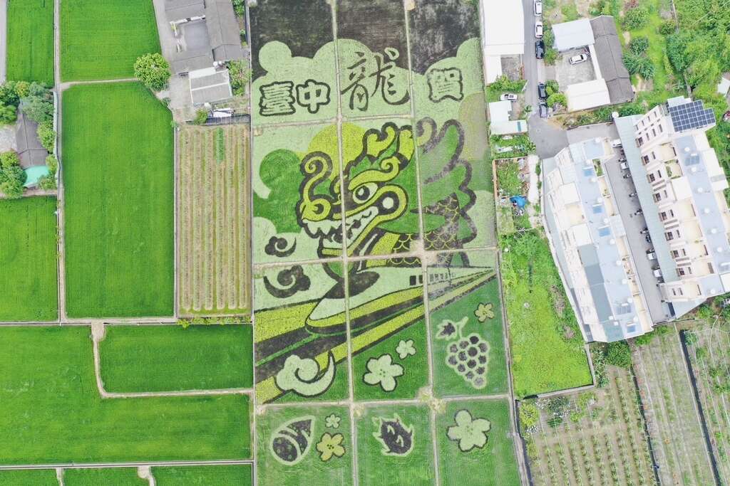 「全農報稻 台中龍賀」稻田彩繪空拍圖。 圖:台中市政府觀光旅遊局/提供