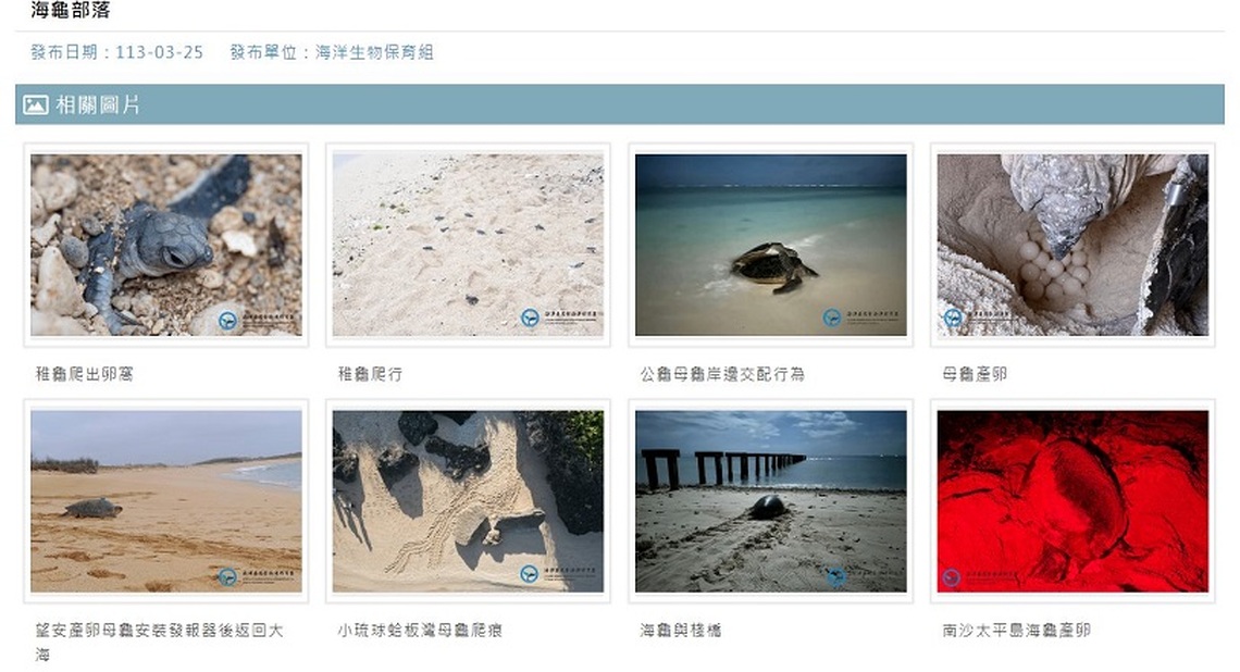 記錄海洋精彩時刻~海保署推出「海洋保育圖庫專區」