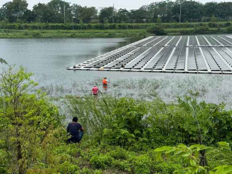 ▲中埔鄉公所維護人員於公館滯洪池進行除草作業時，疑似發現鱷魚蹤跡，立即通報鄉公所及縣府。（嘉義縣政府提供）