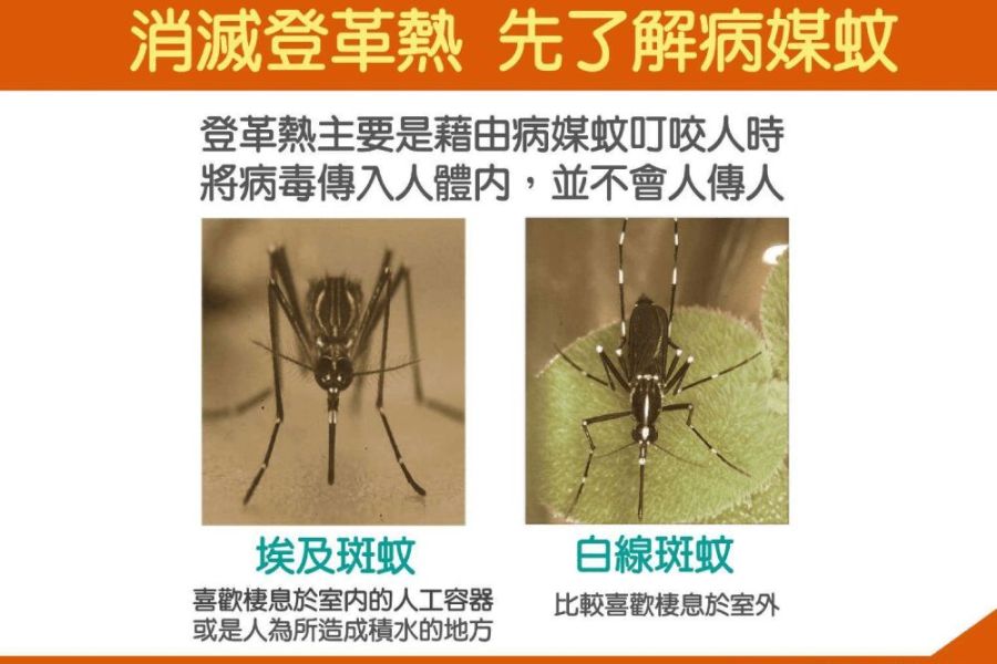 憂登革熱疫情通報經費大縮水 陳菁徽籲政院:把南部鄉親健康擺第一 224 照片來源:衛福部疾管署