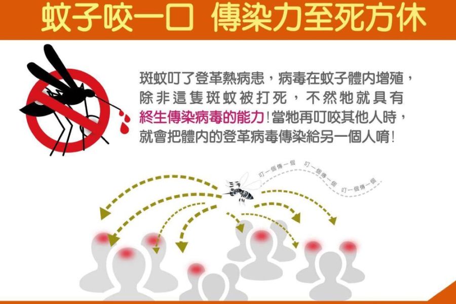 憂登革熱疫情通報經費大縮水 陳菁徽籲政院:把南部鄉親健康擺第一 226 照片來源:衛福部疾管署