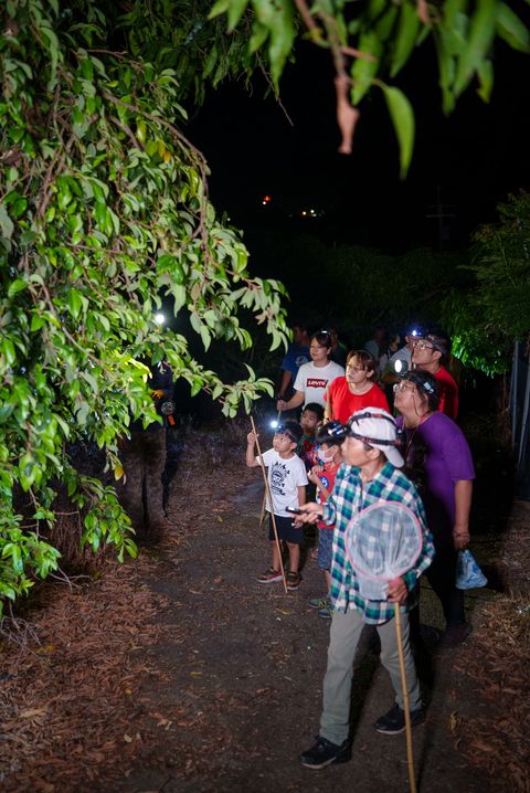 放電天堂!六龜山城水樂園親子遊 消暑戲水逛市集