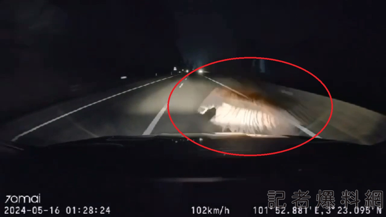 翻攝網路