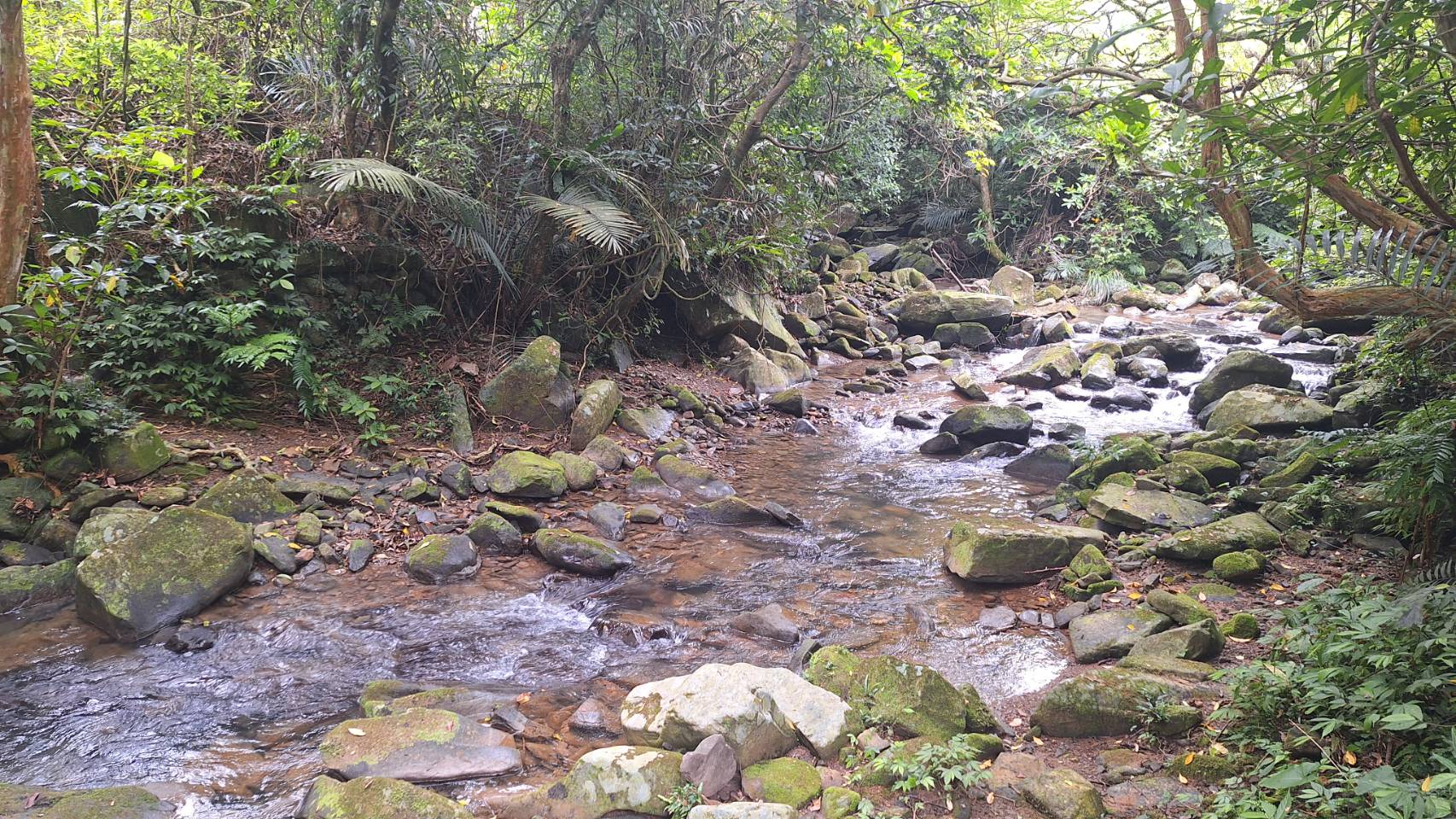 選手將涉水越過小溪,增添越野趣味。圖片由黃崇華教練提供。