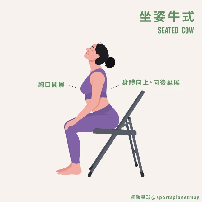 3. 坐姿牛式(Seated Cow)