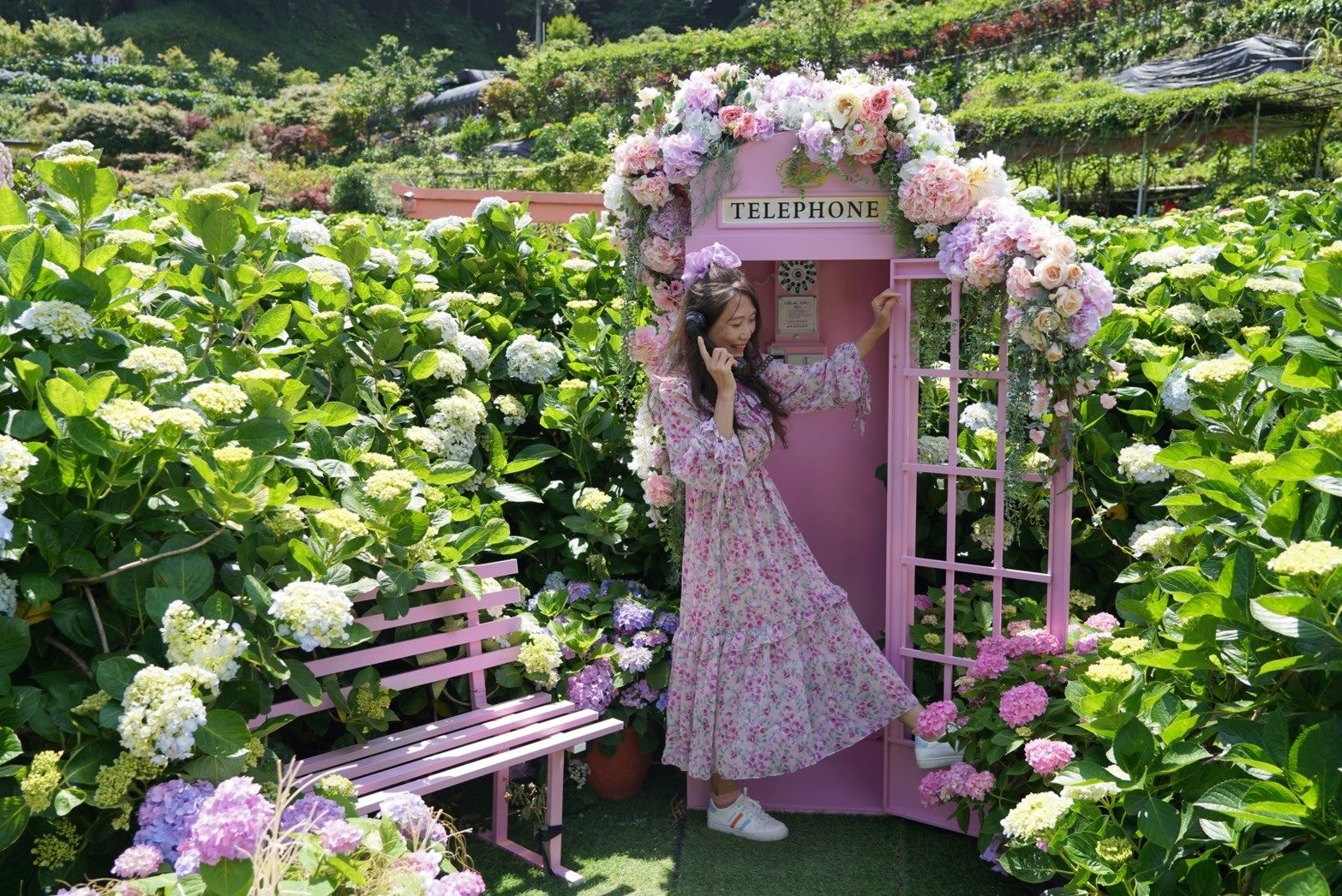 徜徉初夏竹子湖繡球花海　享受農園童趣好時光