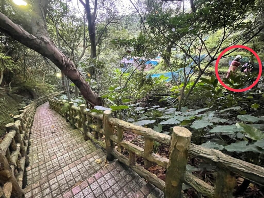 警員林欣儀、潘旻宏立即聯繫報案人,獲知陳女平時以機車為交通工具,經迅速查詢車號調閱陳女機車動向,發現陳女已騎往樹林區龍興街山區
